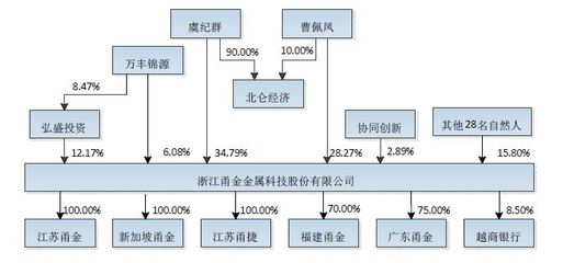 冲刺A股，资本新篇 兰溪百亿巨头如何借股权投资悄然布局未来